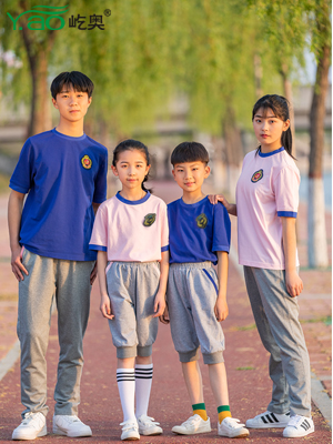 屹奥2019小、初、高夏季校服新款运动套装